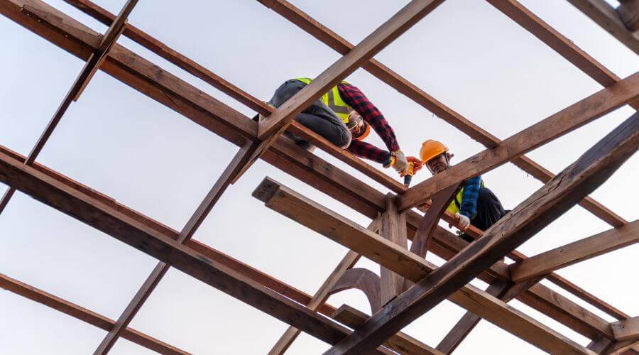 Professional gutter cleaning services in Roosevelt, TX